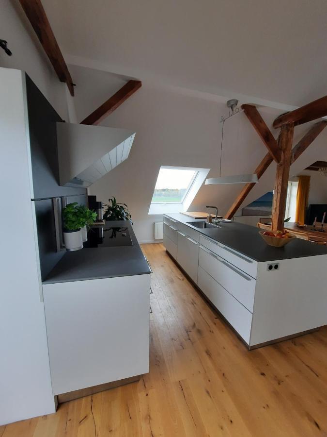 Luxurioeses Loft Mit Schoenem Blick Tremsbüttel Exterior foto